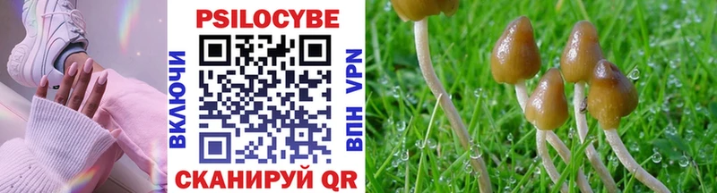 Псилоцибиновые грибы Magic Shrooms  даркнет сайт  Апатиты 