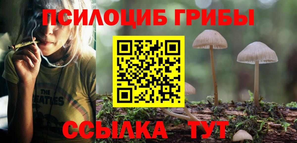 купить  цена  Вход с VPN  Галлюциногенные грибы Magic Shrooms  Апатиты  Галлюциногенные грибы GOLDEN TEACHER 