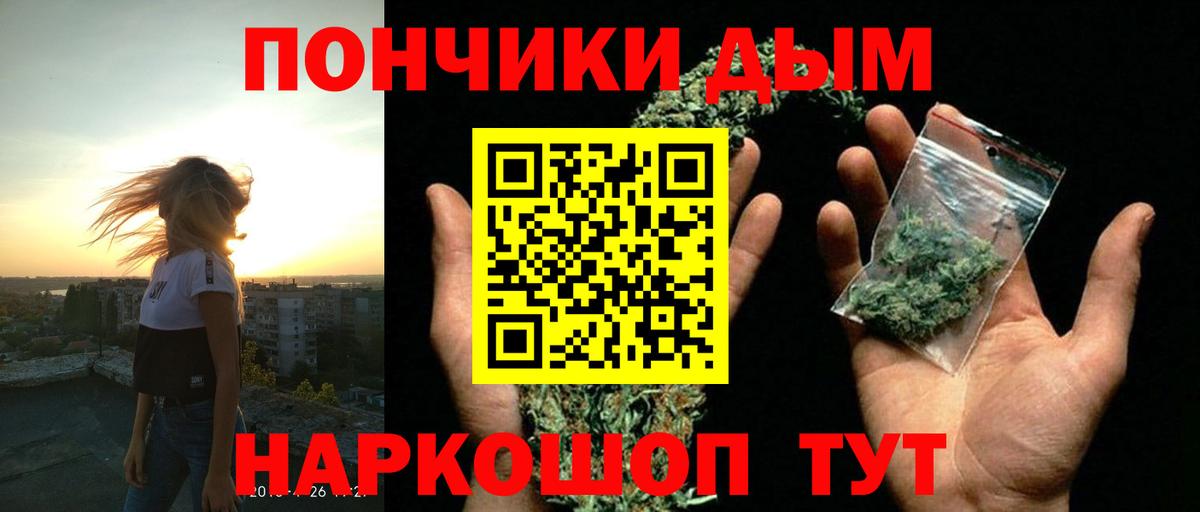 Конопля сатива Апатиты